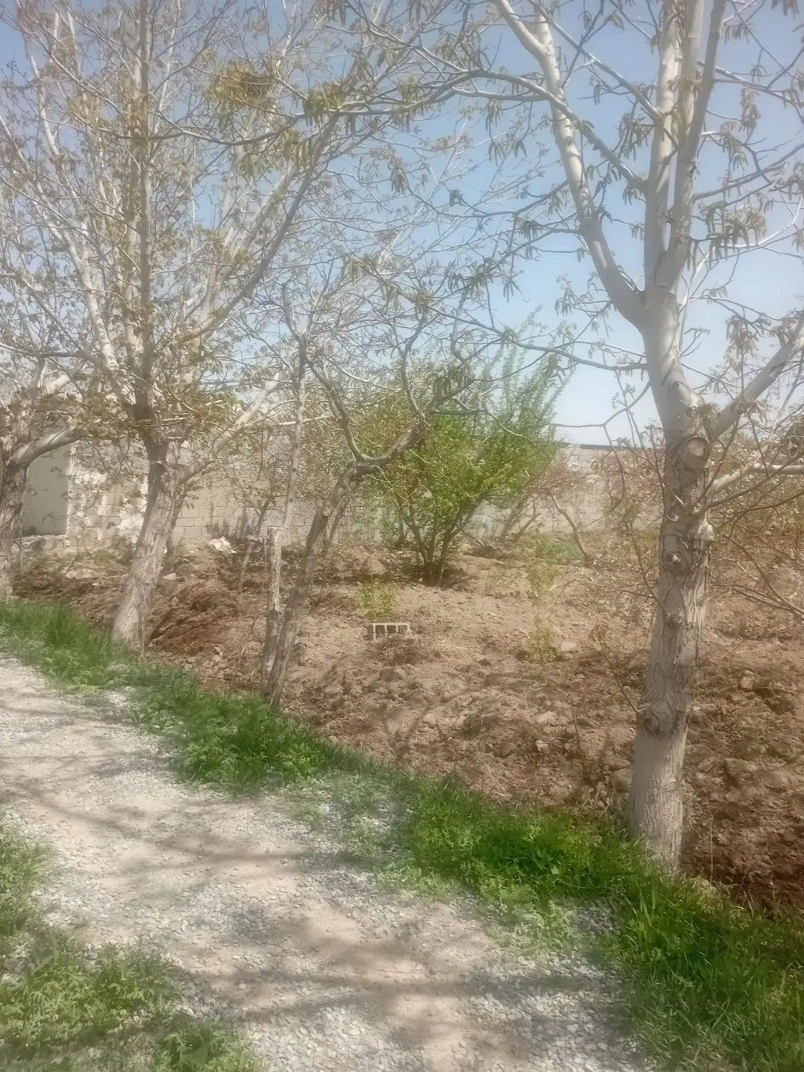 ۲۵۰ متر باغچه برکلهر سهم آب باباسلمان قدس