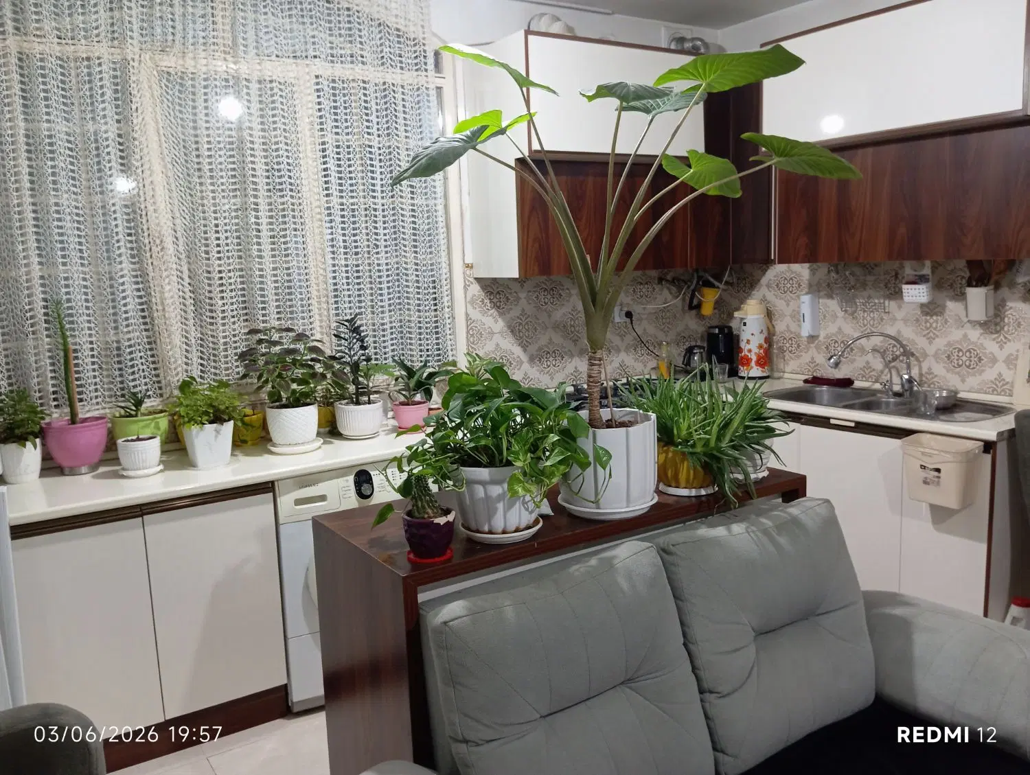 فول تجهیز حیاط دار واوان