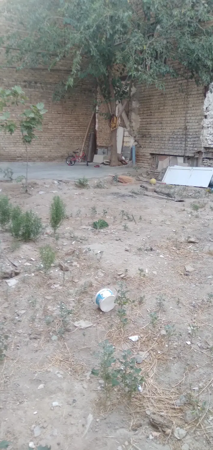 زمین تو دلی پلاک دوم خیابون سیروس