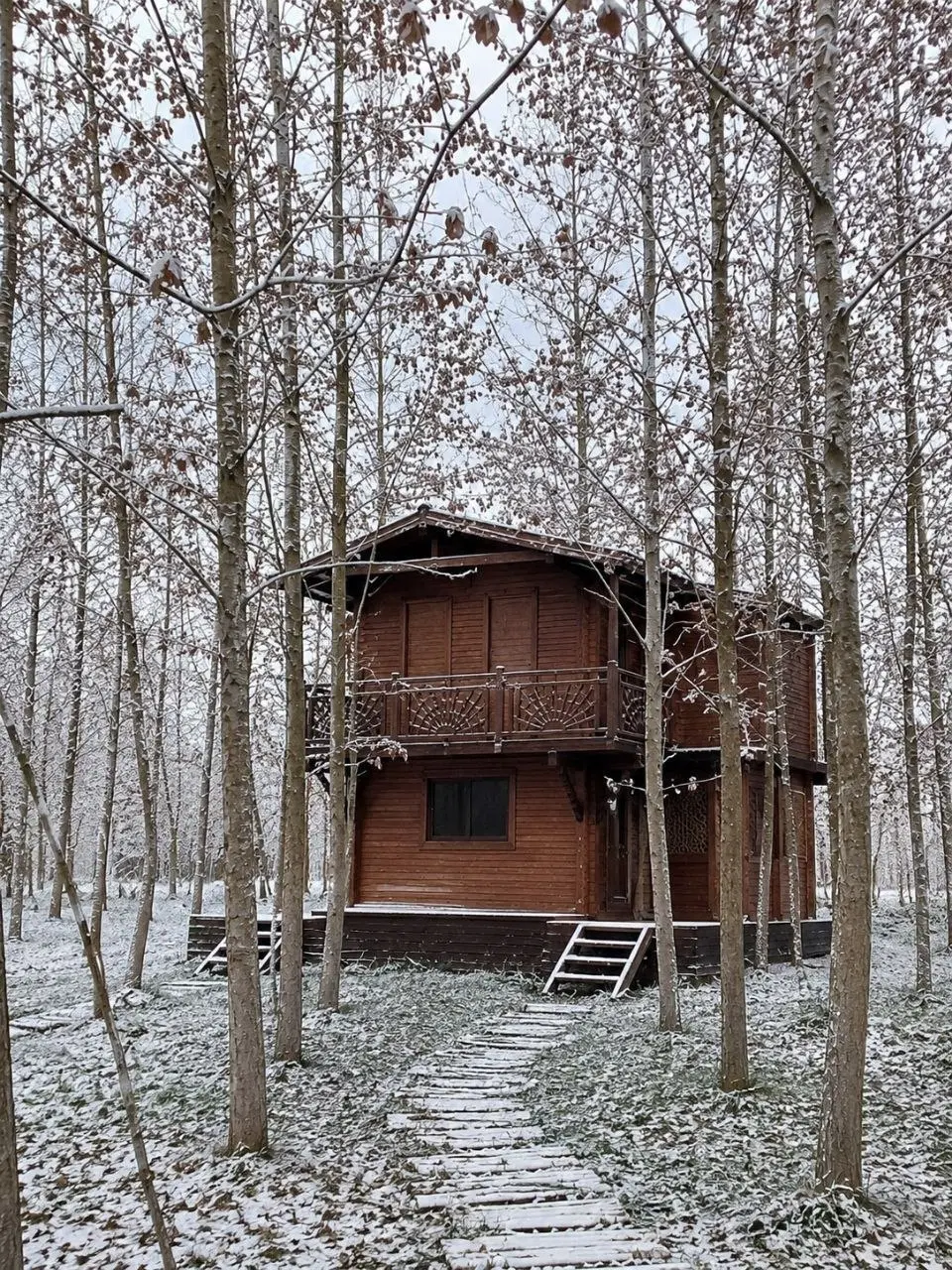 جزایر هزارتو_خرید ویلای جنگلی_