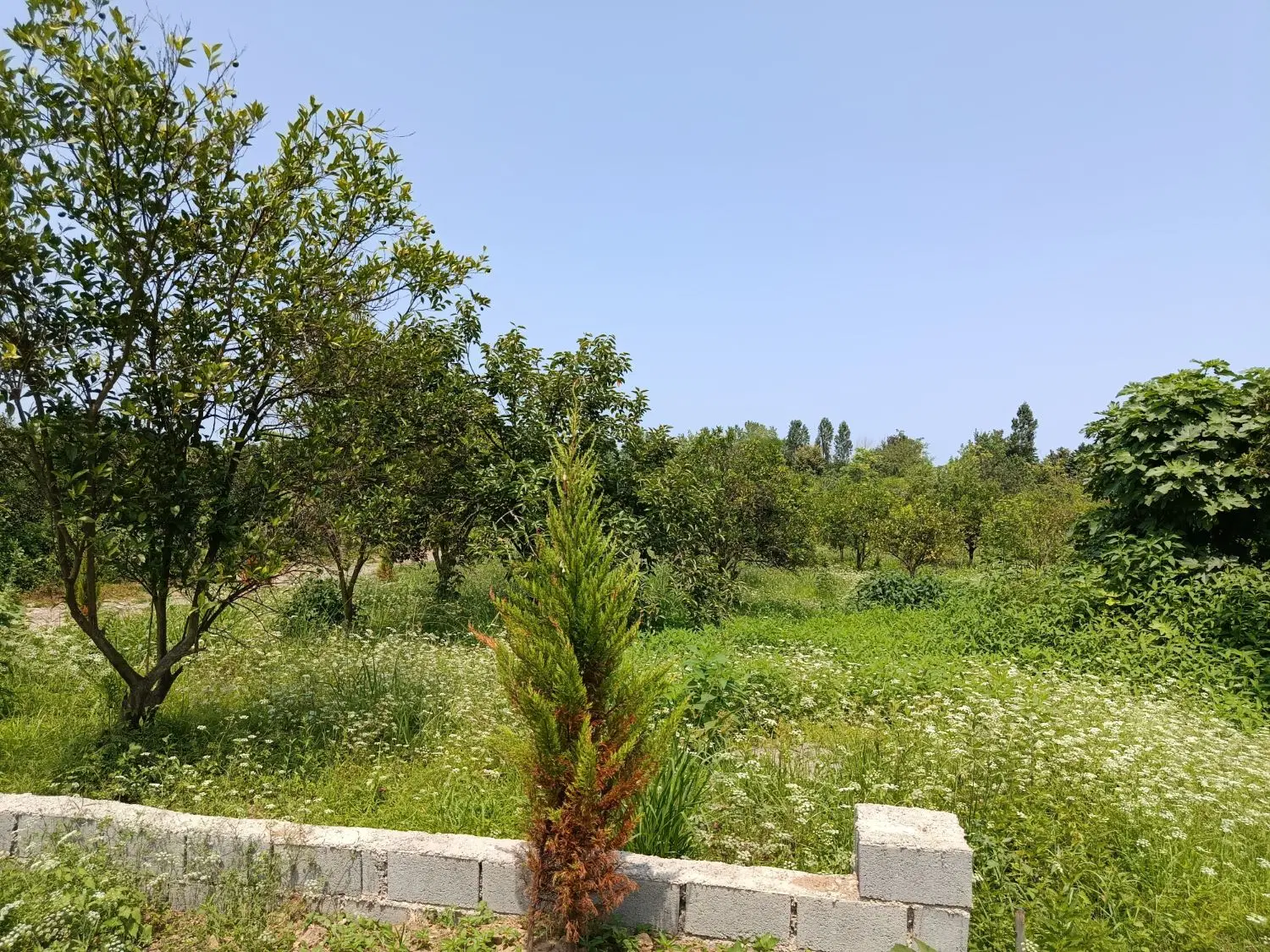 فروش زمین