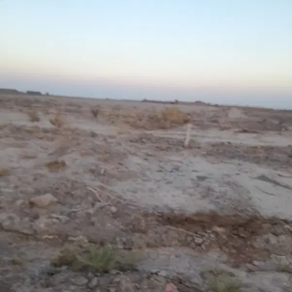 زمین