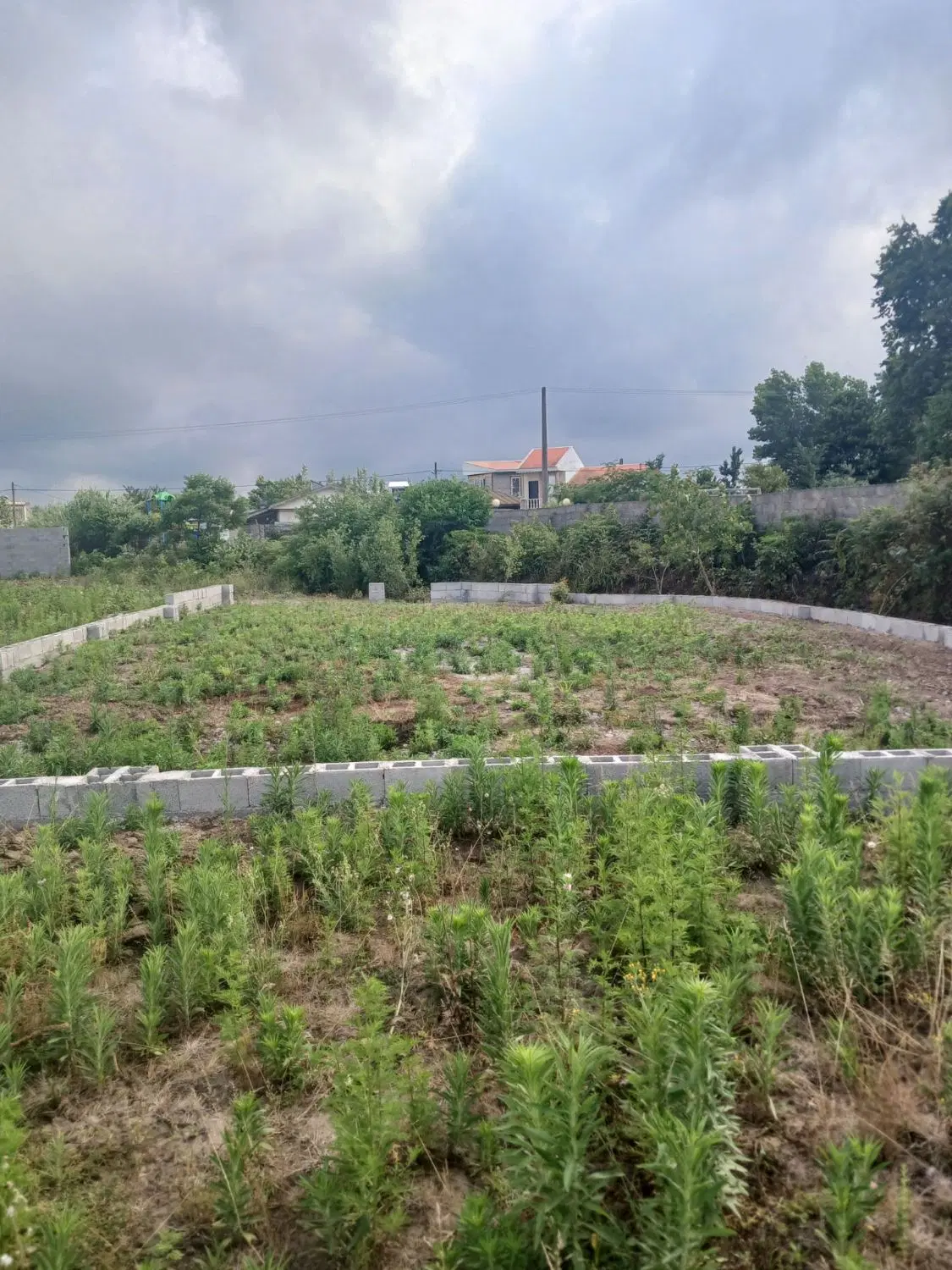 زمین با کاربری مسکونی