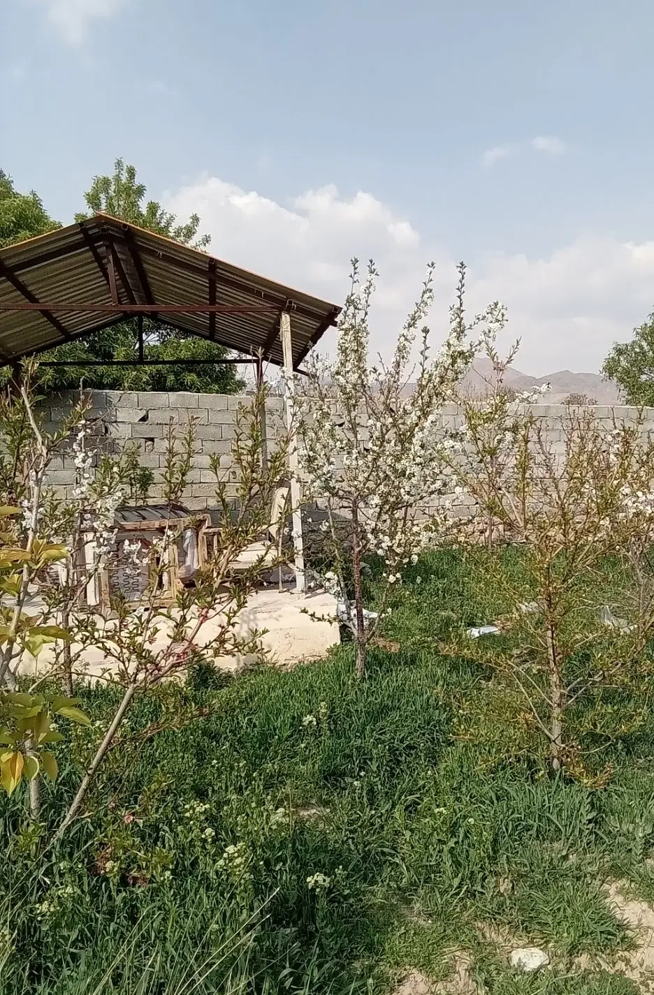 باغچه ۷۳۰ متری آردهه کوهسار