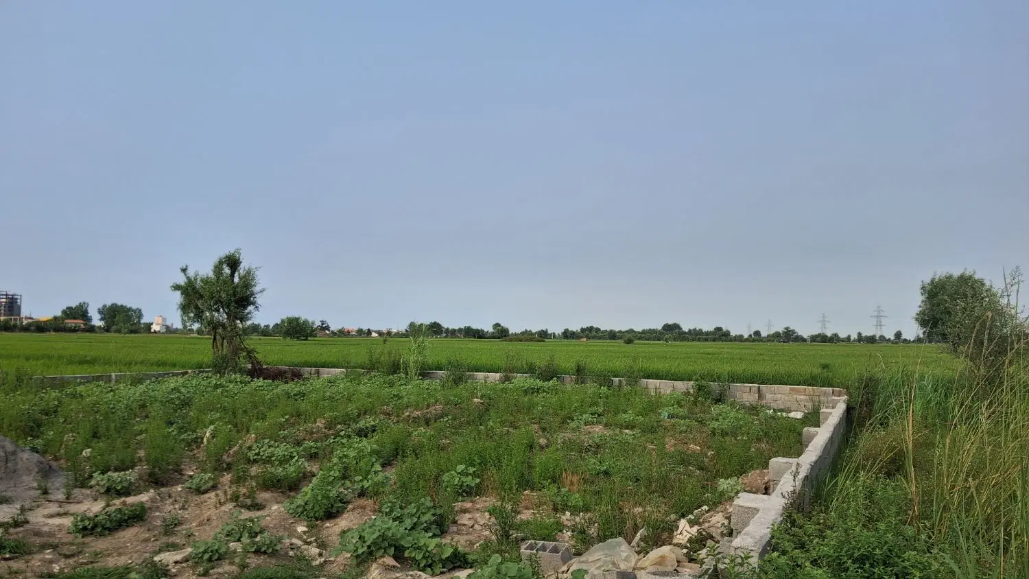 زمین  برای سرمایه گذاری