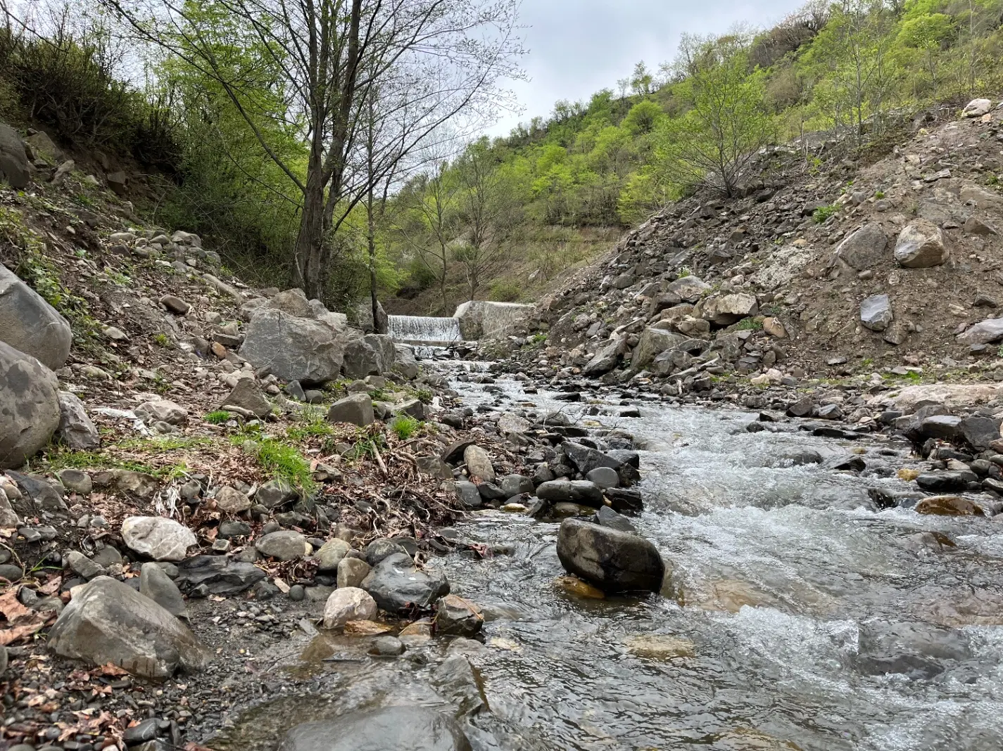 فروش ۲۳۷ متر زمین مسکونی در روستای تیلم مازندران