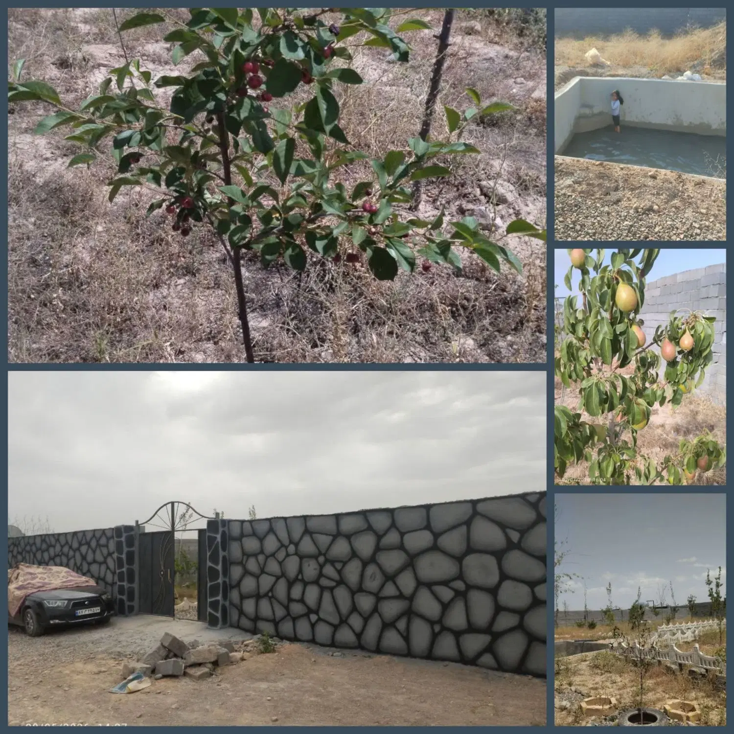 فروش باغ روستا ماریان