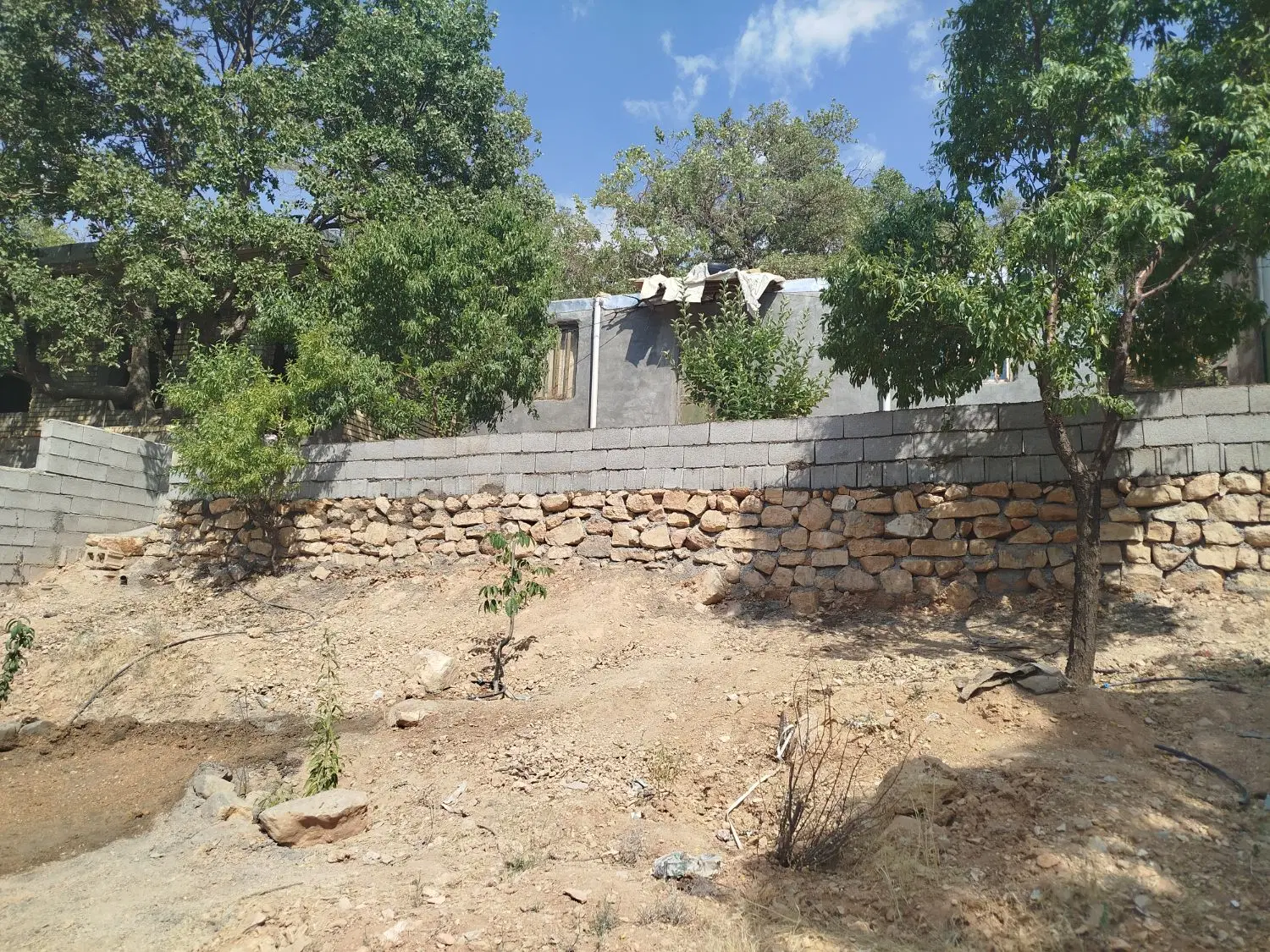 زمین  مسکونی سرنجیانه سفلی