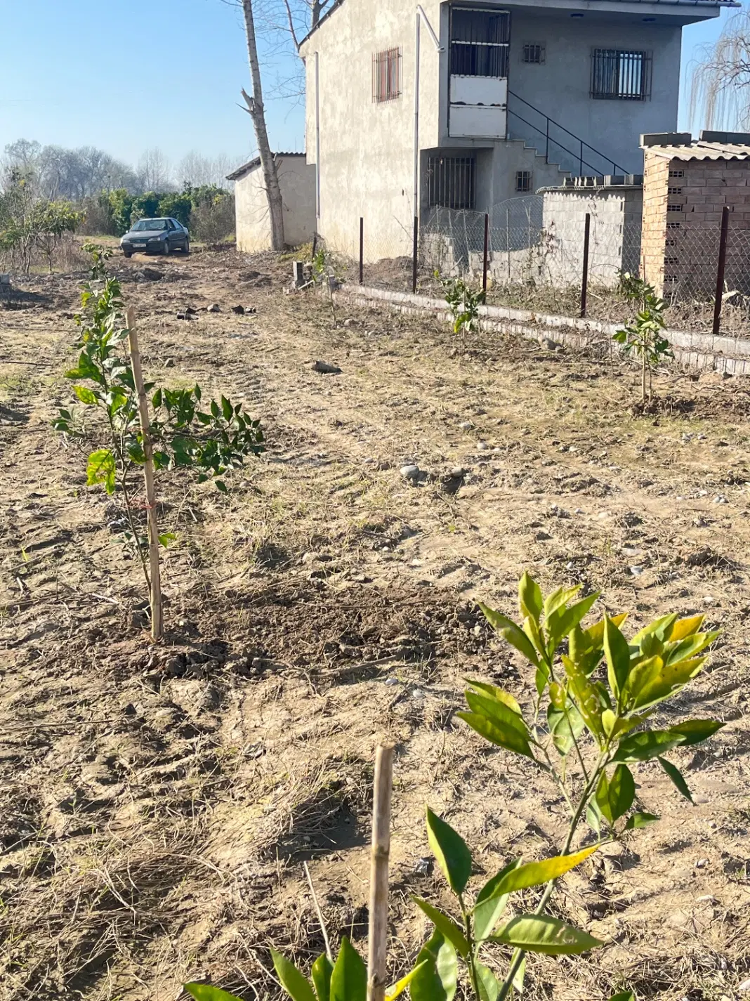 فروش‌زمین باغی
