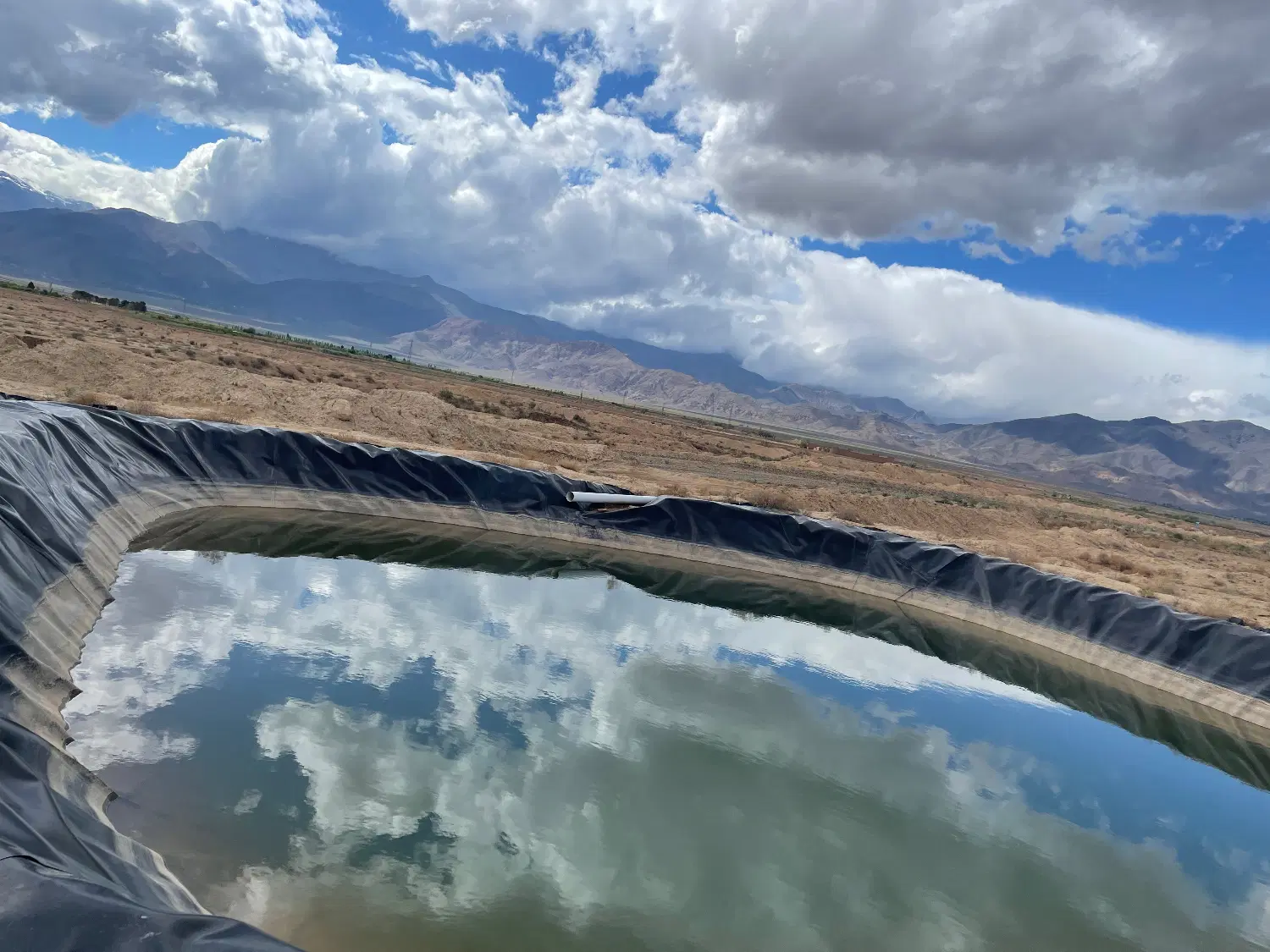 باغ پسته