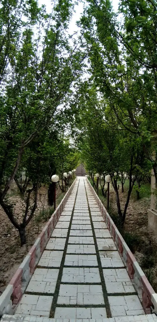 باغ ۸۰۰ متری