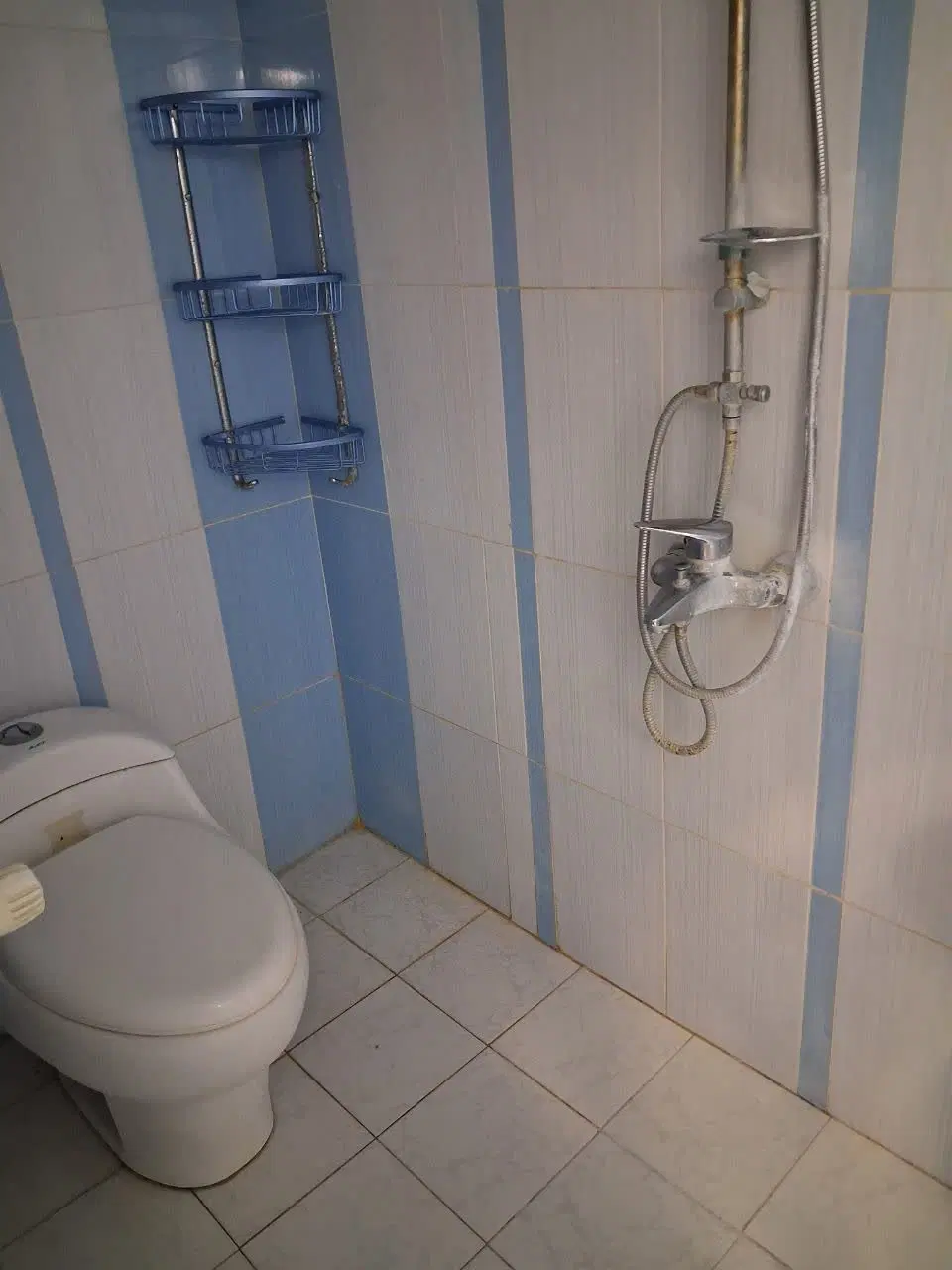 اجاره آپارتمان فاطمیه