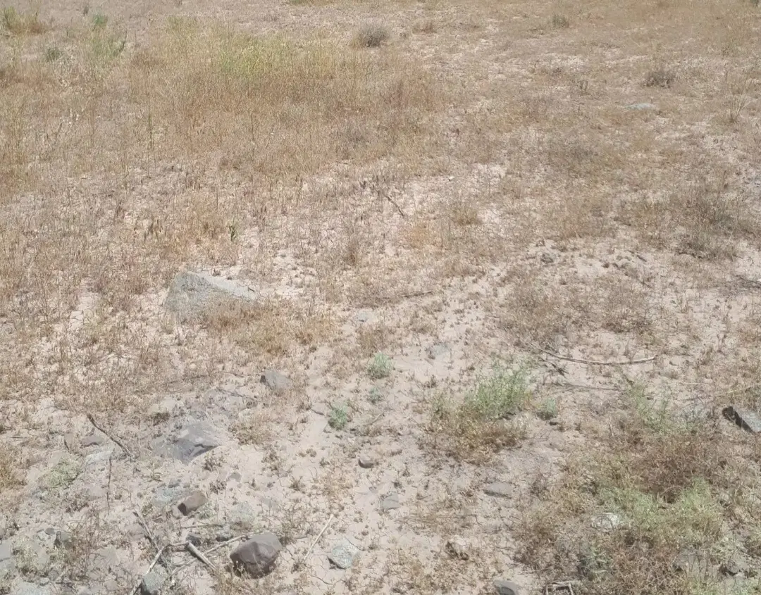 زمین جوپار جوپارستان