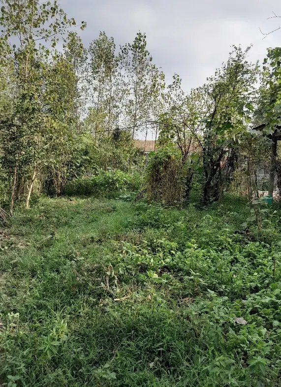 زمین مسکونی سنددار