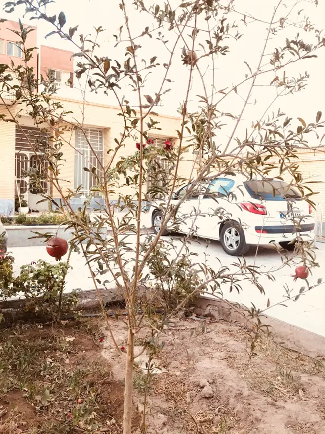 ویلایی