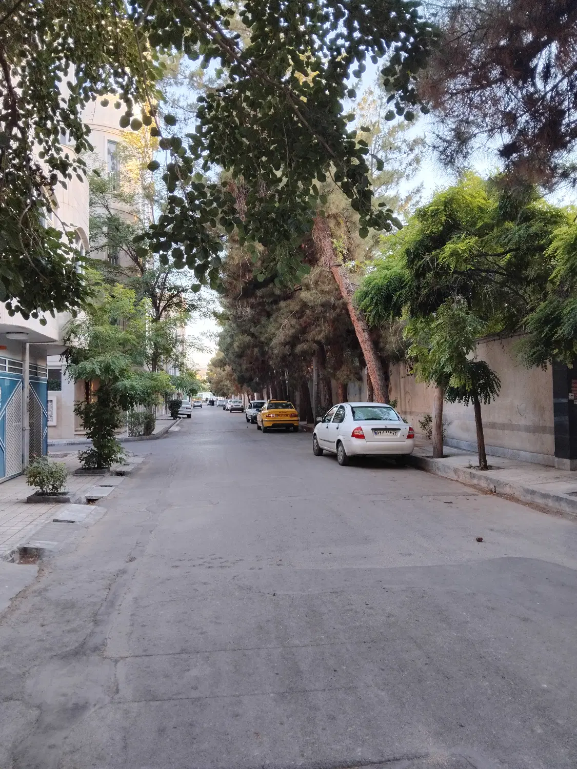 زمین 350 و 700 متری وکیل آباد81