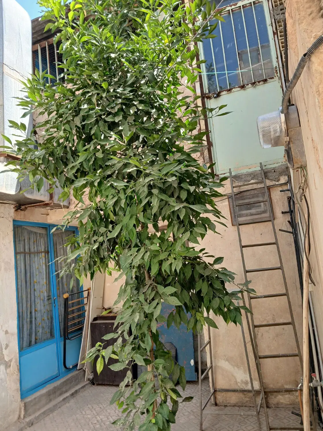 فروش خانه ویلایی