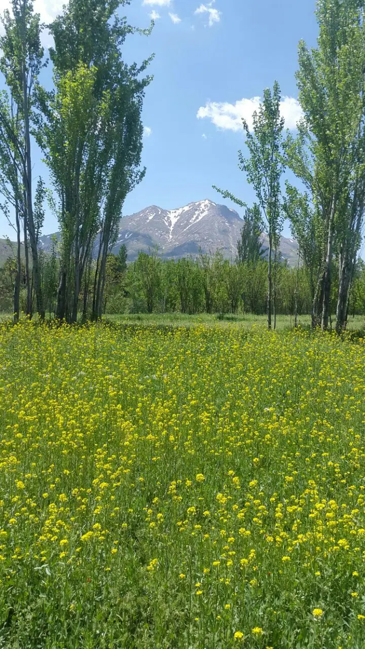 زمین باغی