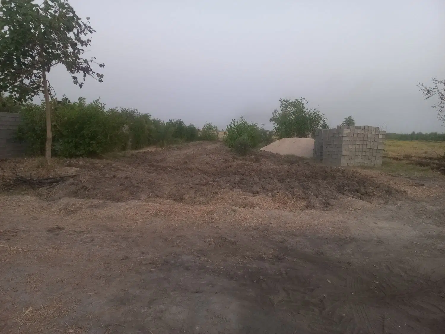 یک قطعه زمین باغی