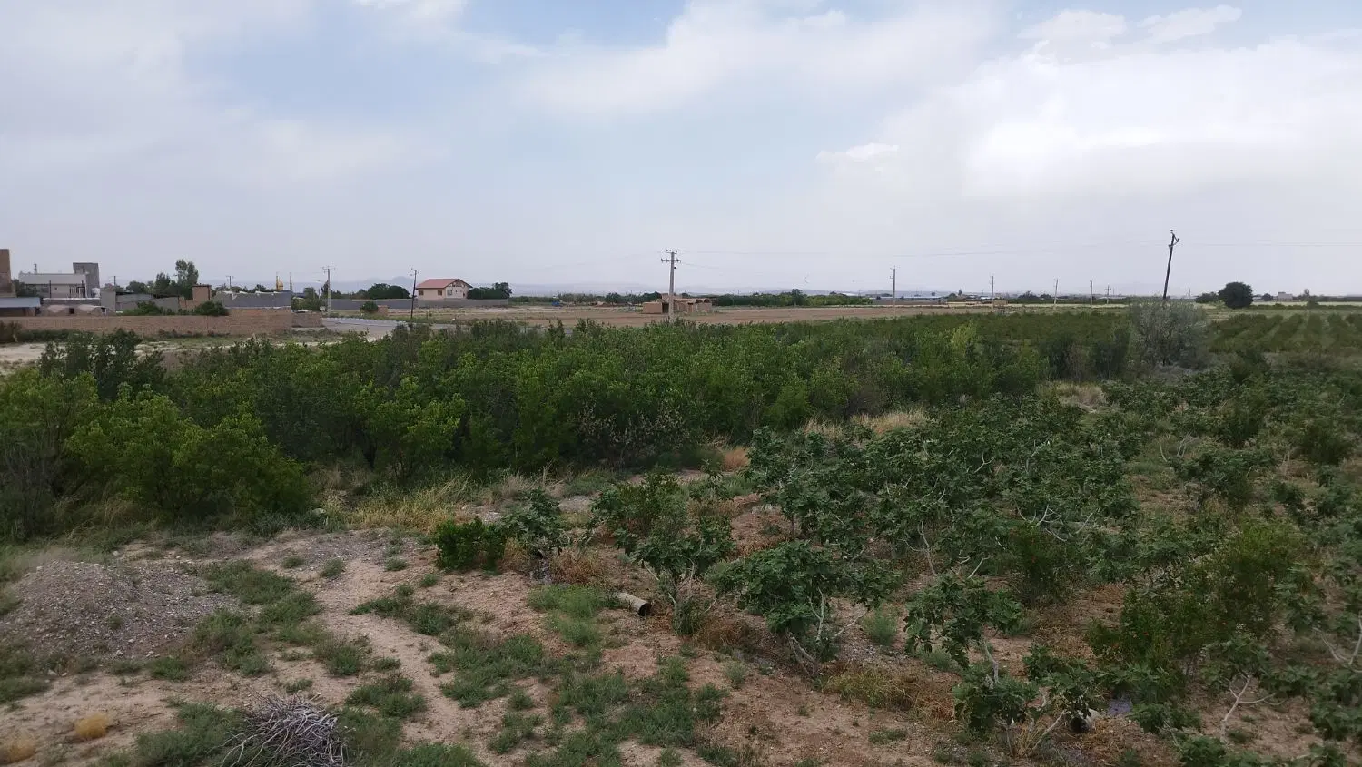 باغ ویلا با شرایط قسطی