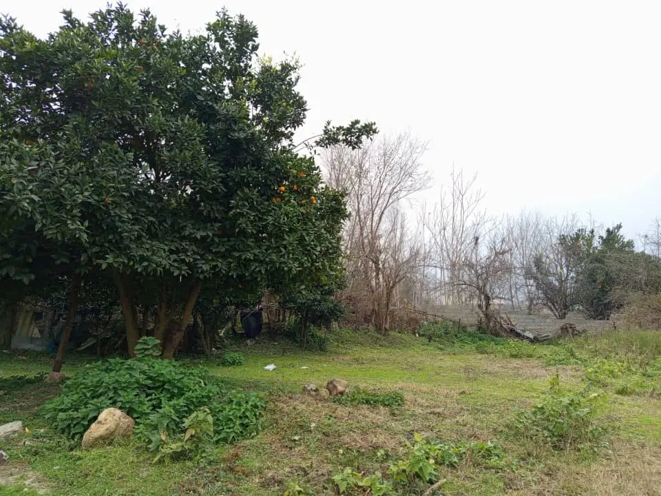 فروش زمین مسکونی