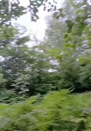 زمین به متراژ ۲۵۰ متر در روستای زیبای سسمس