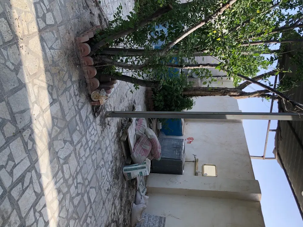 فروش باغ ۴۳۵ متری در قلعه سفید