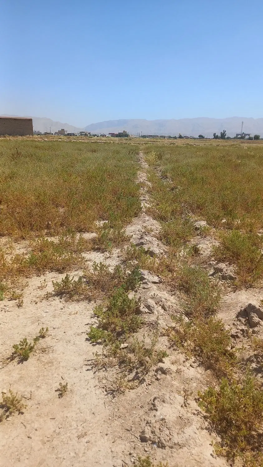 زمین کشاورزی ۸۳۵ متر