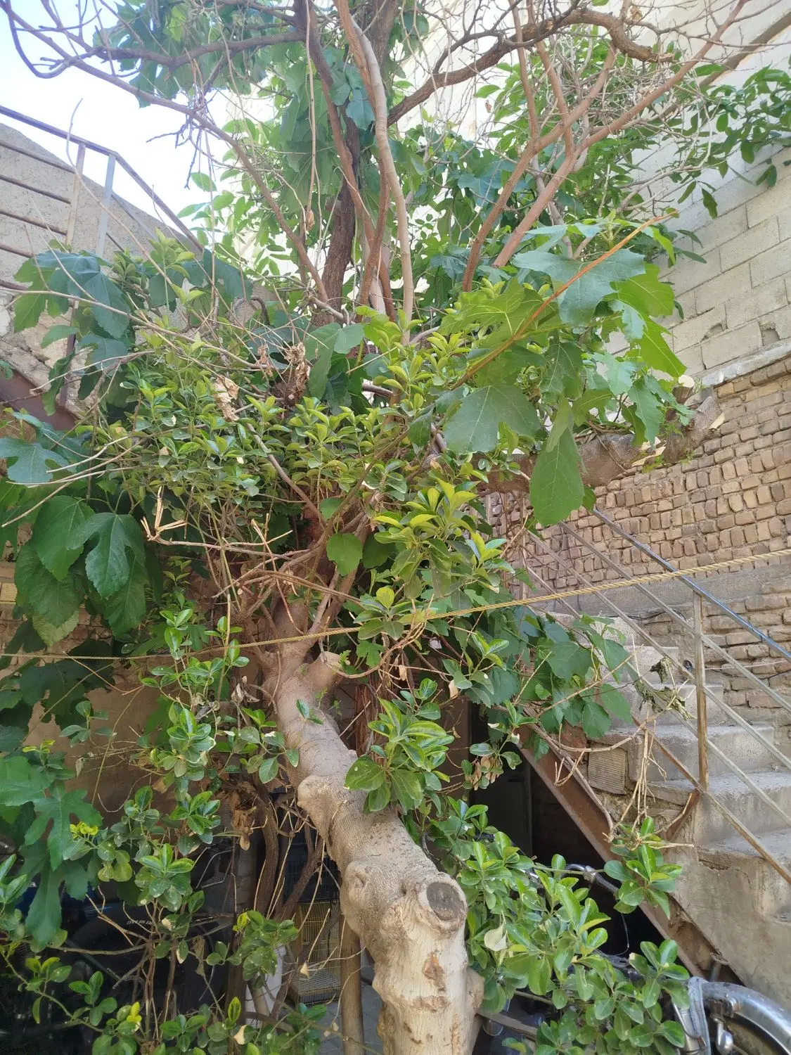 خانه حیاط دار دوطبقه و نیم
