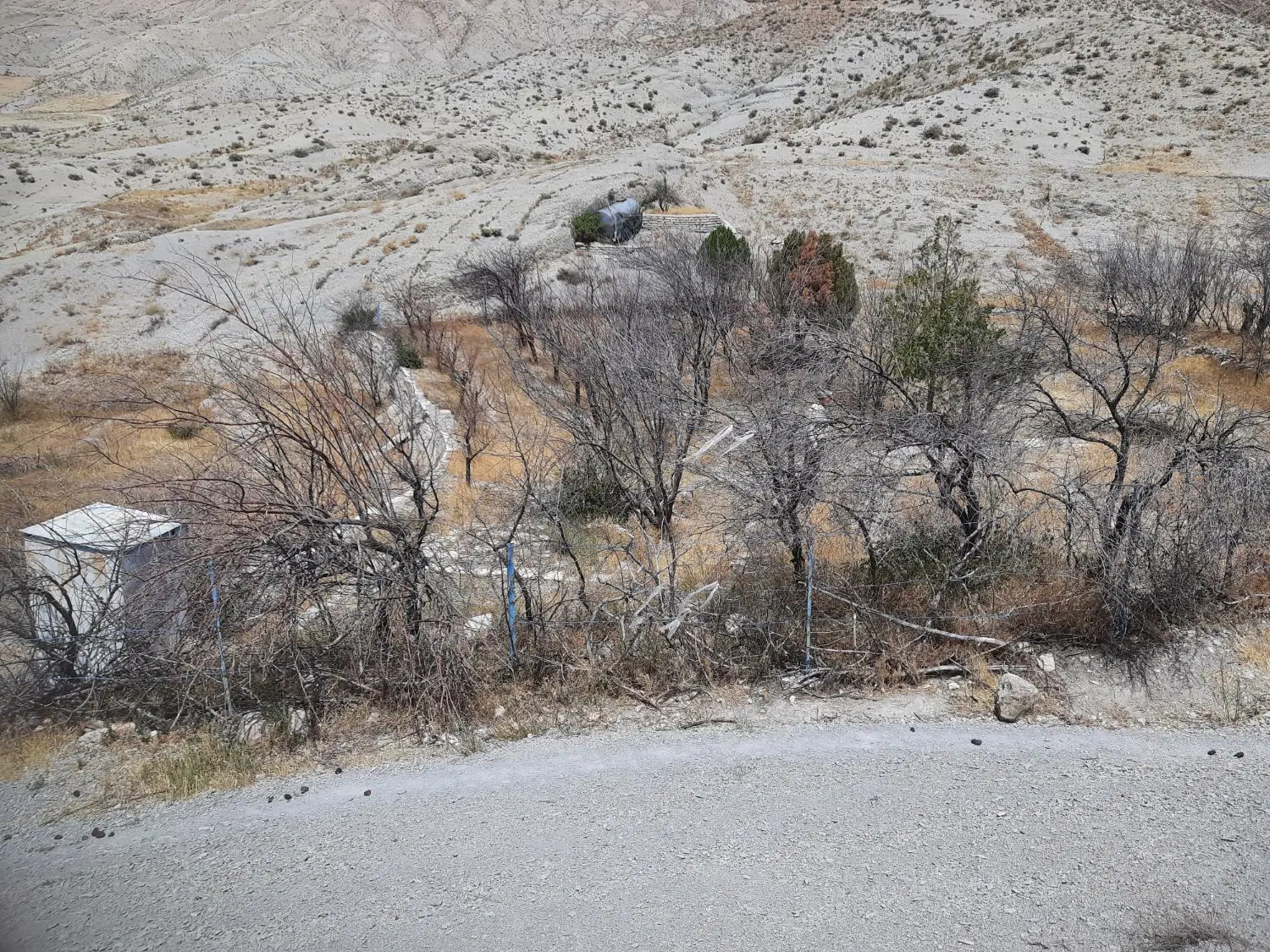 زمین باغی روستای دیزادیز