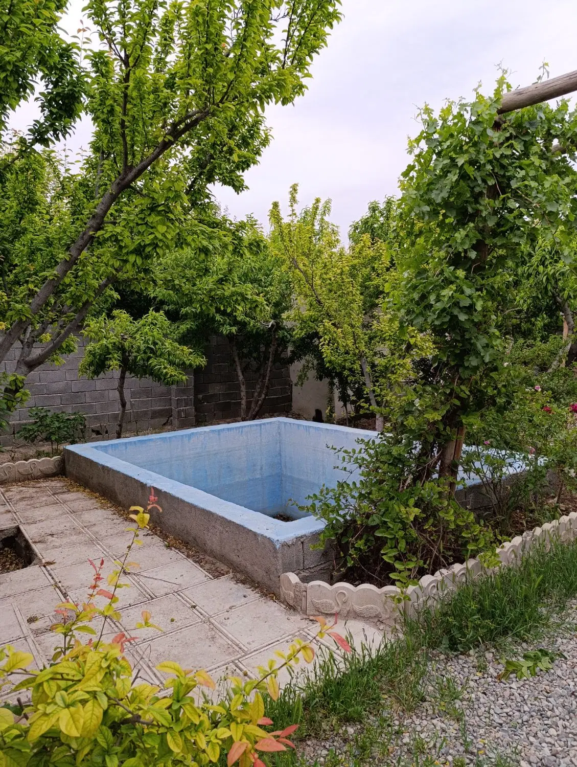 باغچه 515 متری