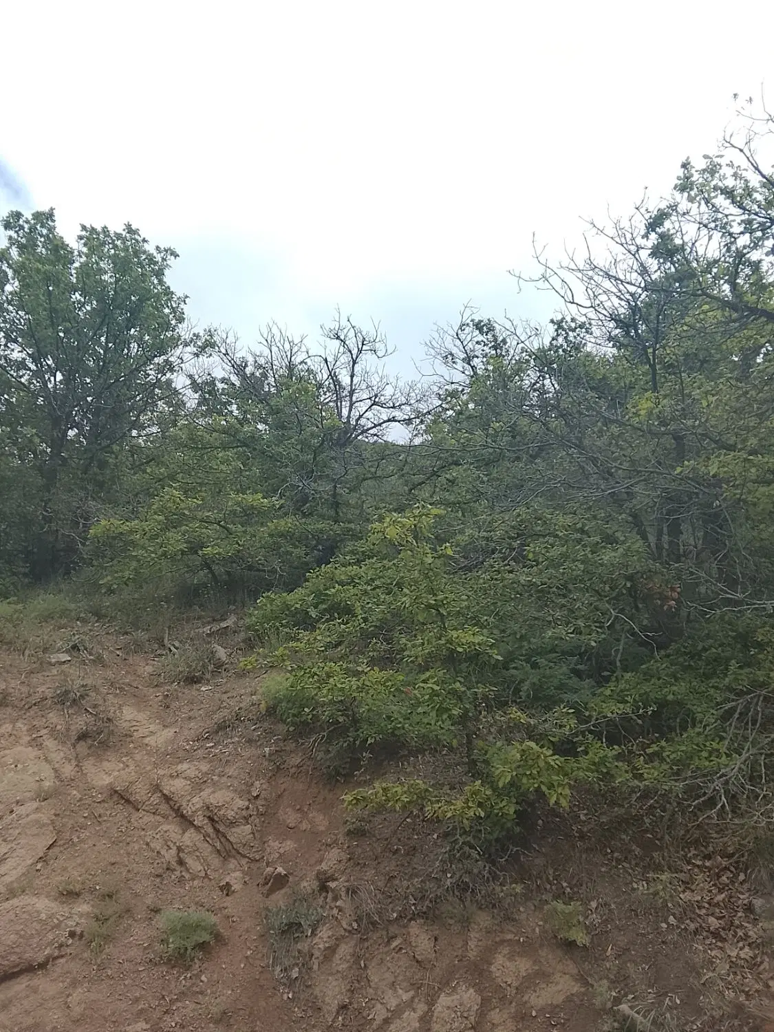 یک قطعه زمین ۷۵۰متر رشتقون