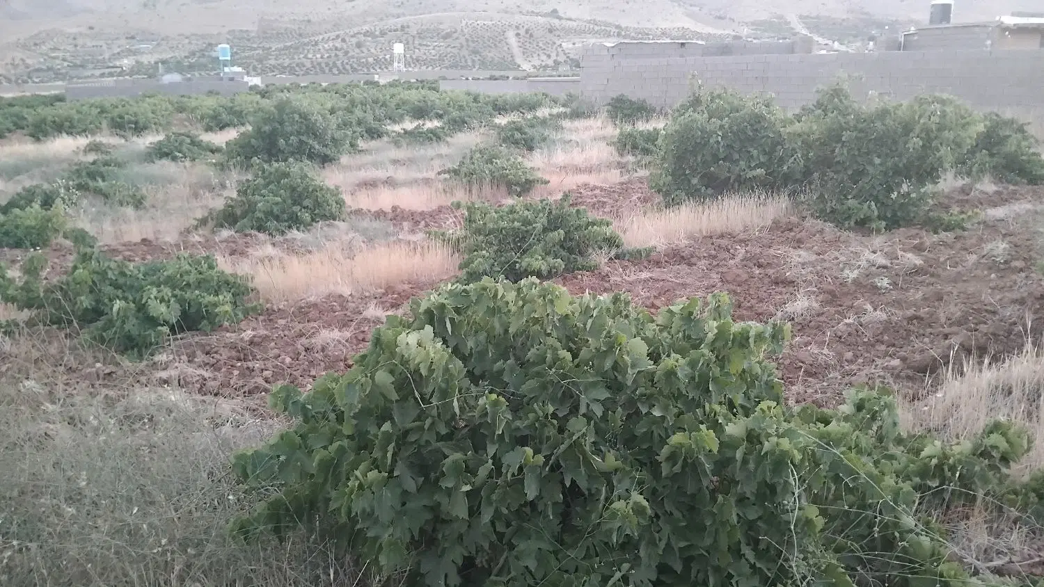 680متر زمین