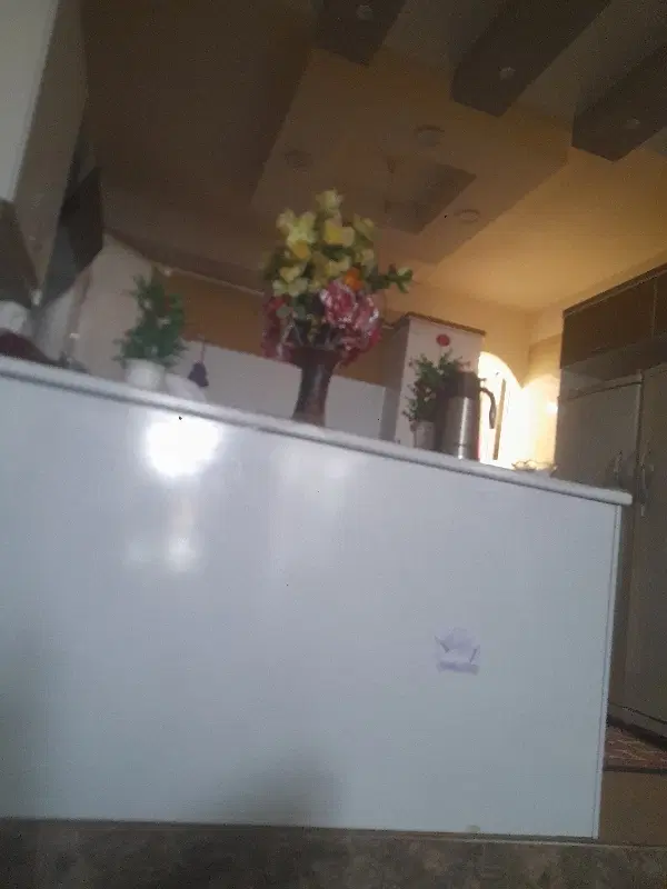 خانه اجاره‌ای