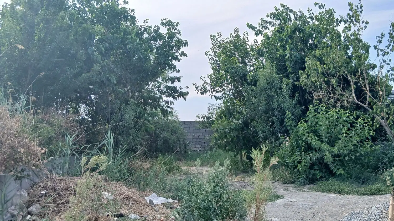 فروش ۳۰۰ متر باغچه با تمامی انشعابات و مجوزات