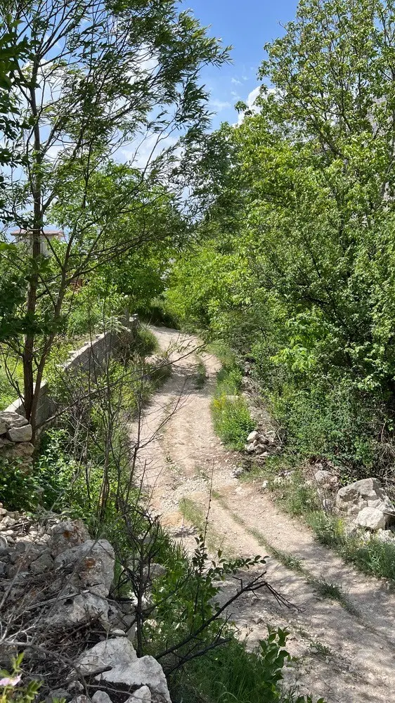 فروش زمین در روستای وانا آمل