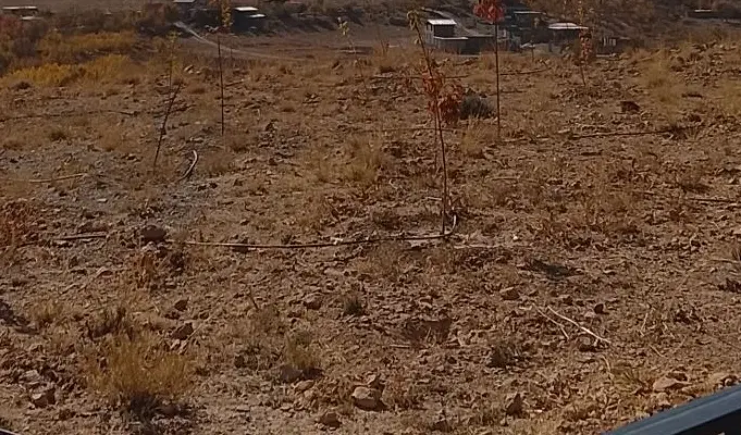 زمین مسکونی ناصرآباد