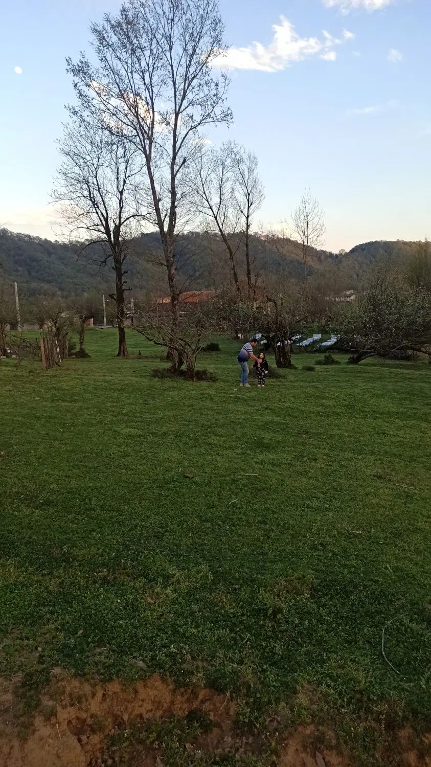 زمین