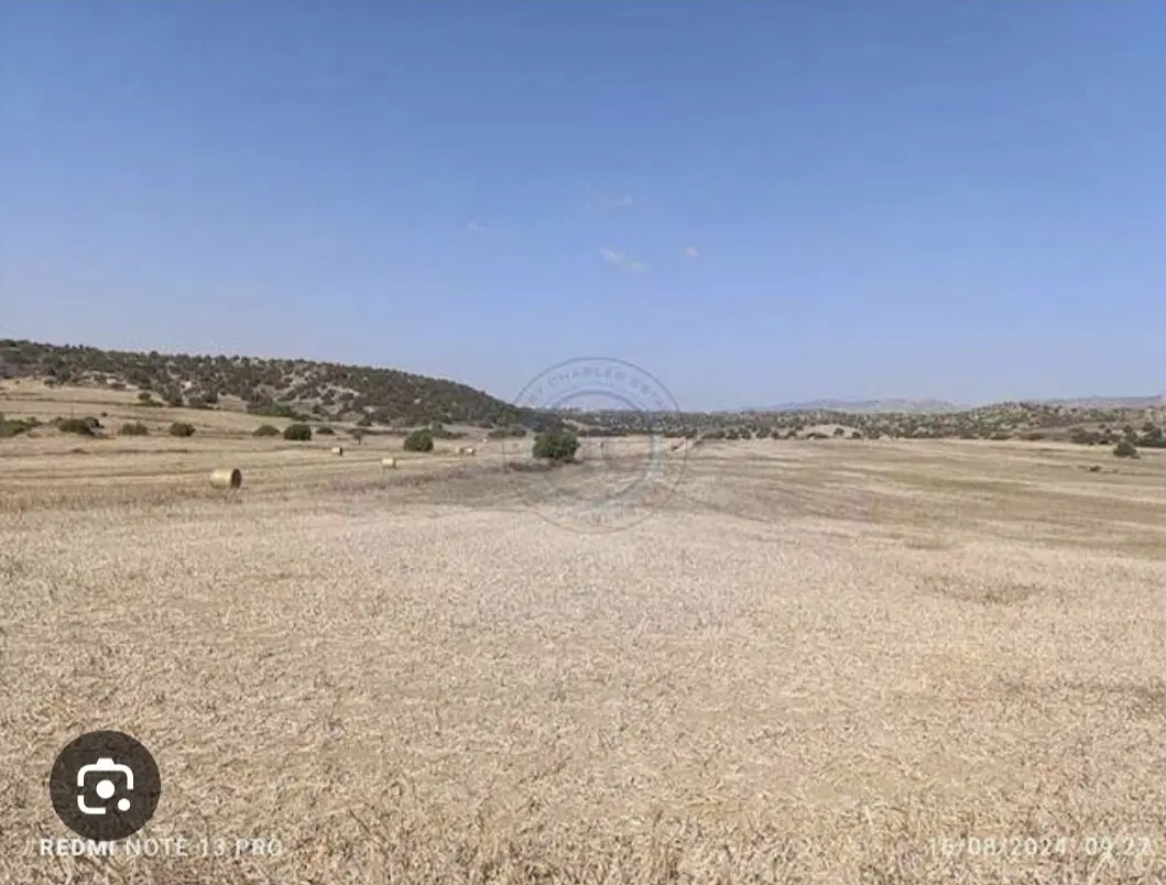 زمین دارای سند تک برگ