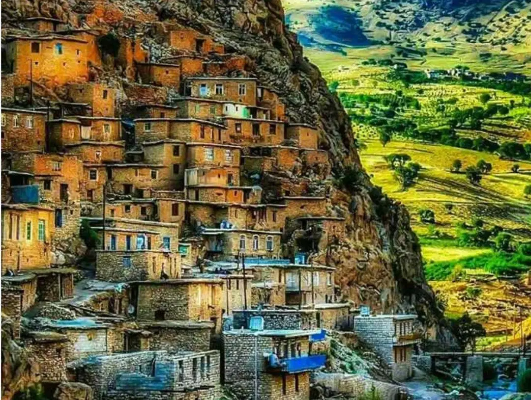 ۱۳۰۰ هکتار زمین در حال کشت