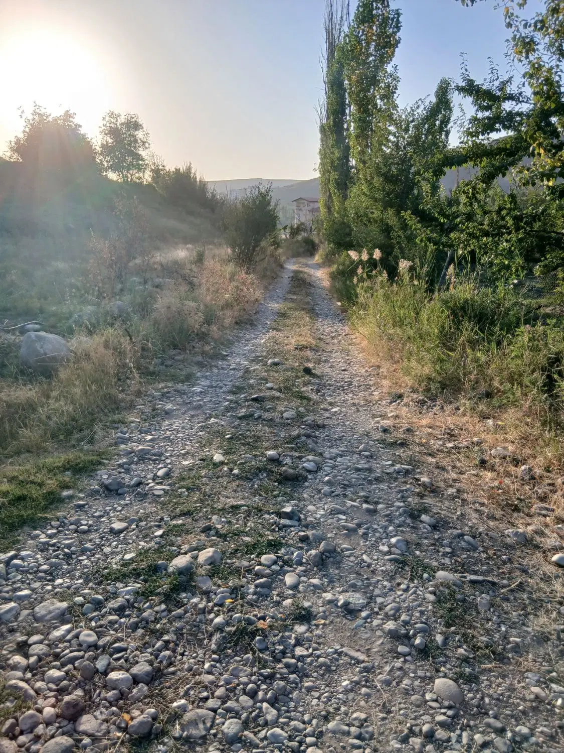 فروش زمین زراعی  درمحله جزن