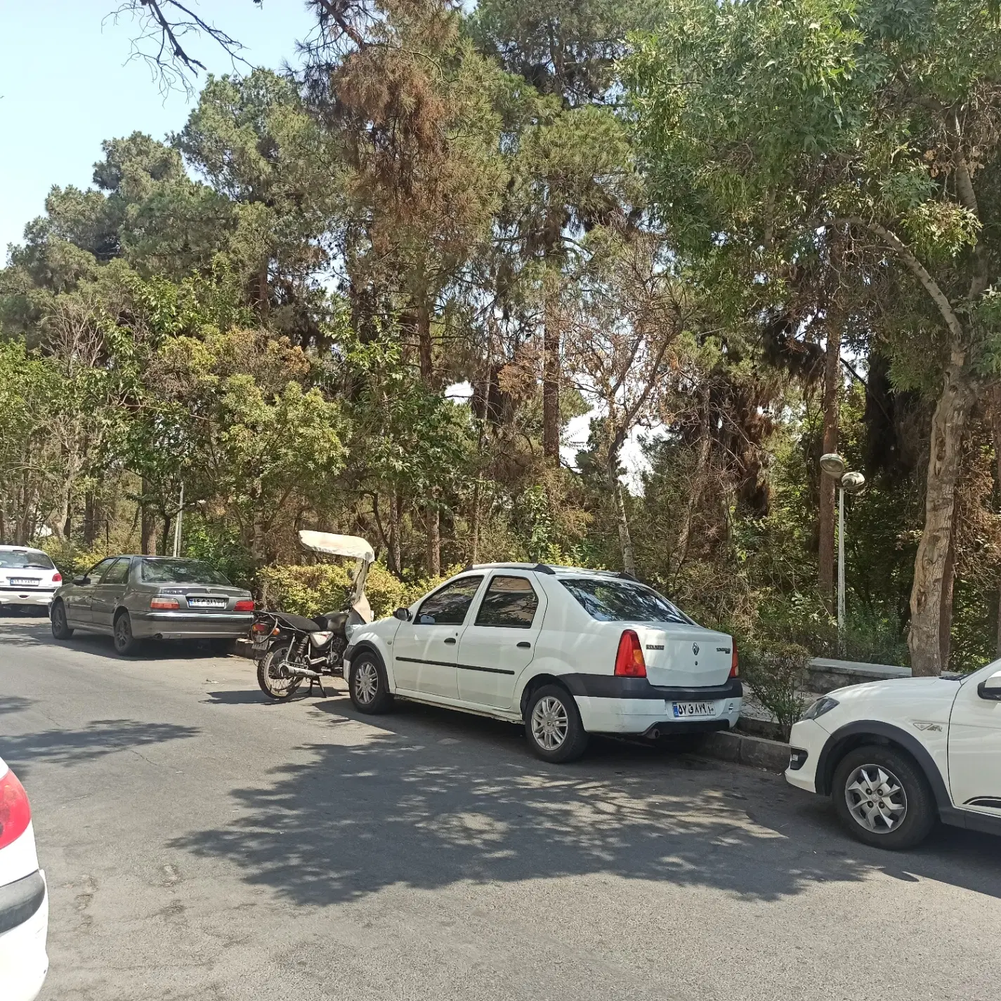 آپارتمان هزار دستگاه خ رایکا(داخل مشارکت)