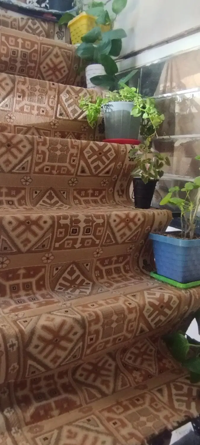 خانه