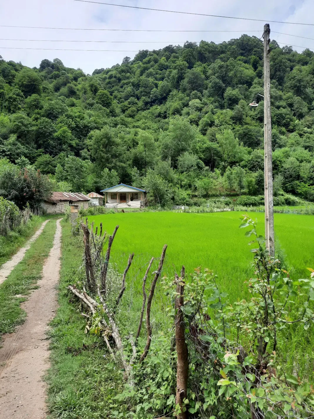 فروش زمین ۵۰۰ متری در وثوق آباد قزوین
