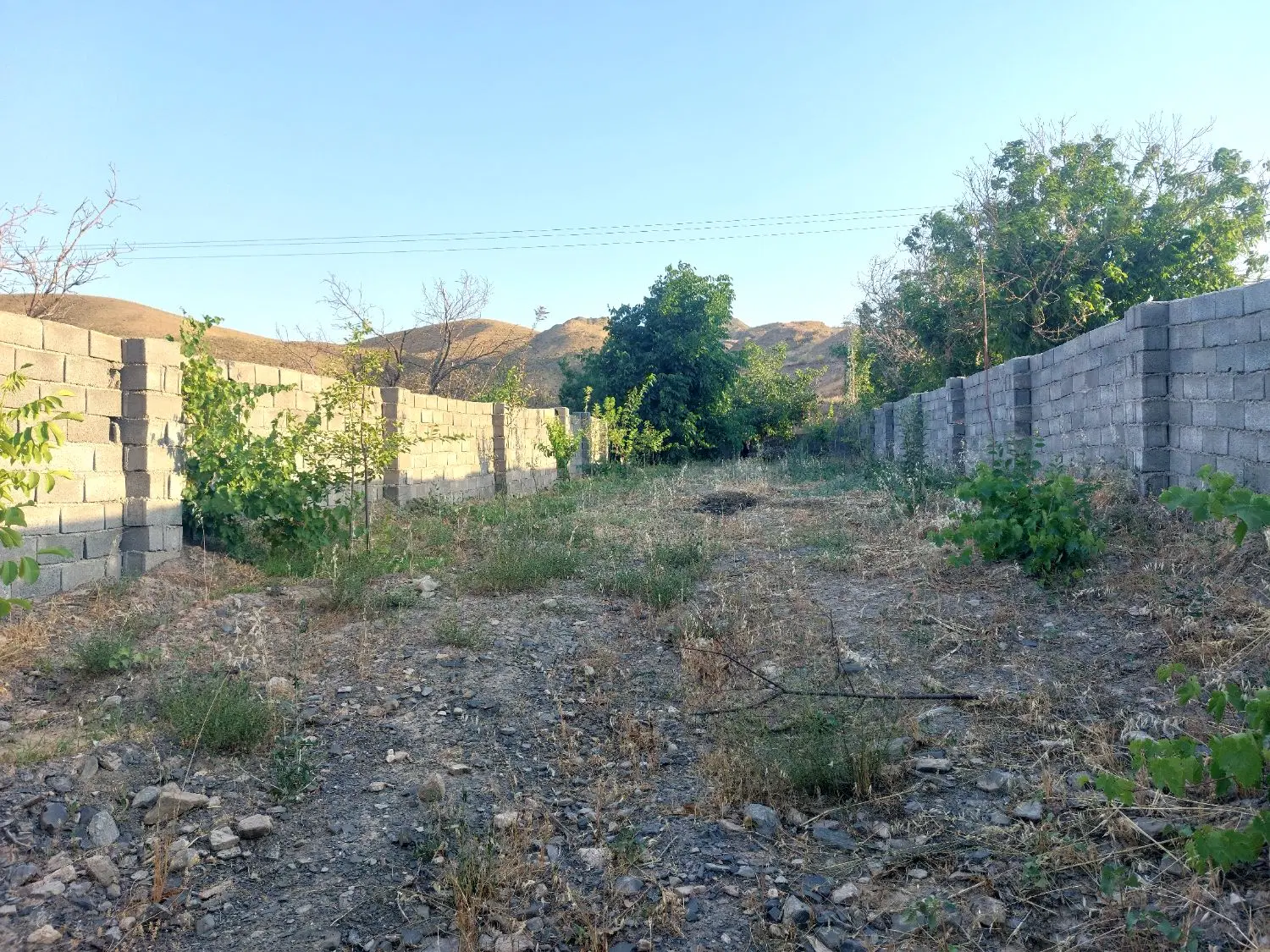 باغ دور دیوار ۵۳۰ متر