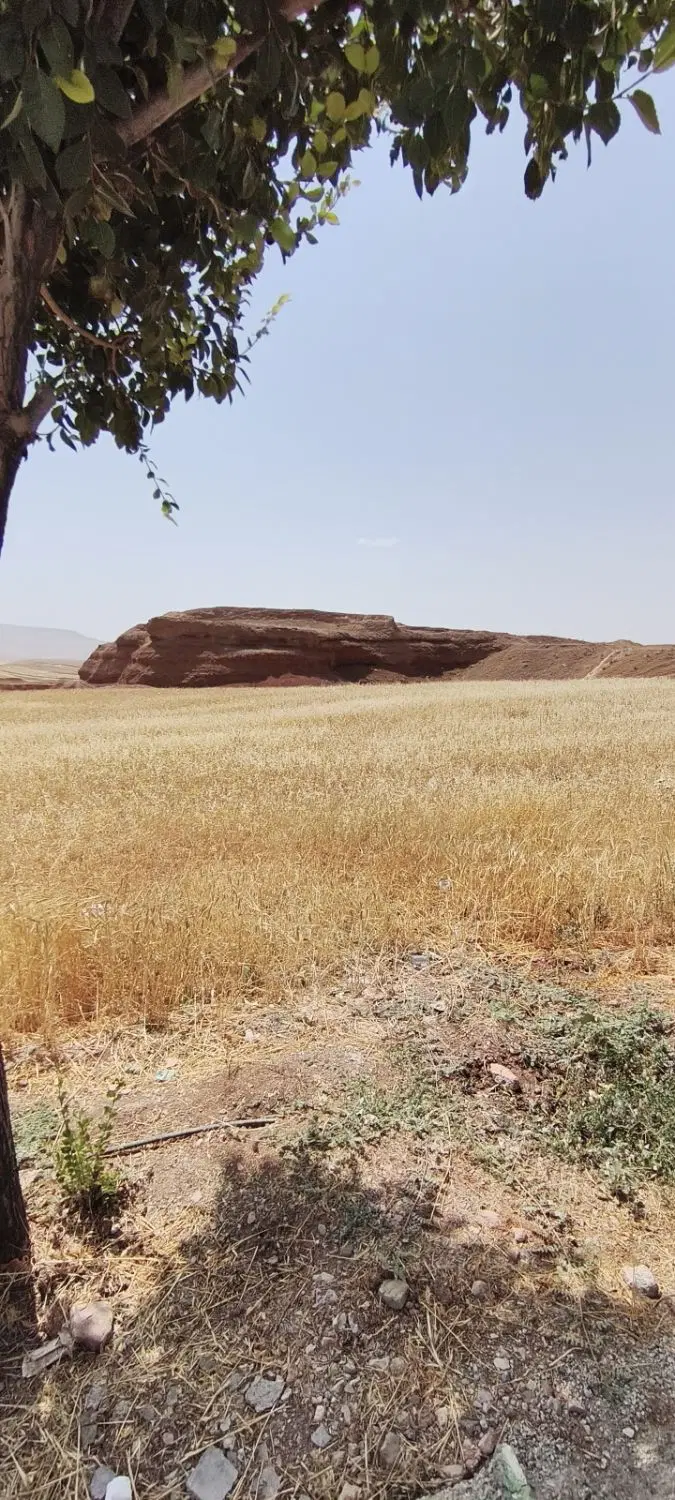 فروش یا تهاتر زمین ۲۴۸ دوبر شهرک وحدت سنندج