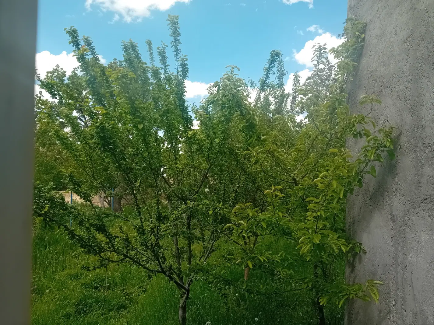 فروش زمین مسکونی
