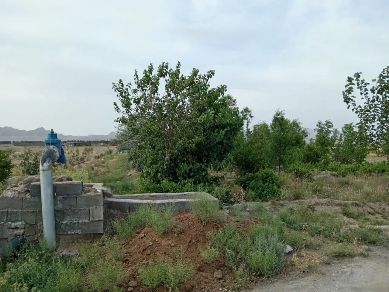 باغ فروشی