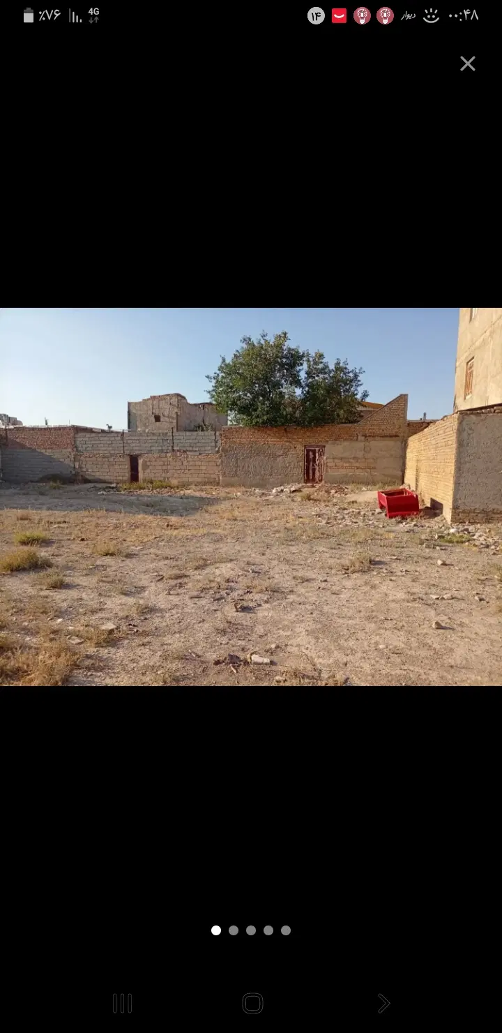 زمین قلفتی داخل بافت