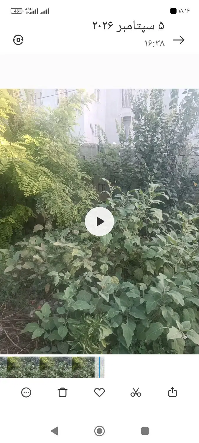 فروش یا معاوضه زمین